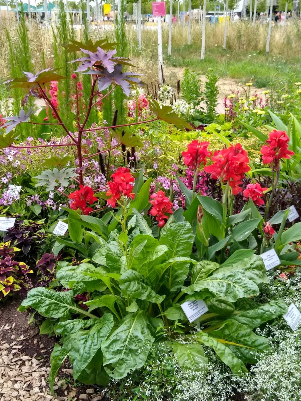 Stop Compar(ent)ing!